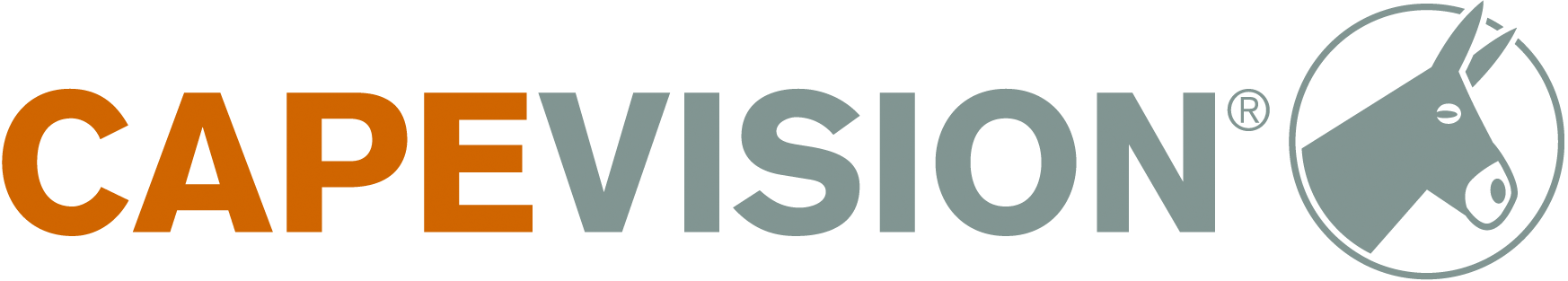 CapeVision GmbH
